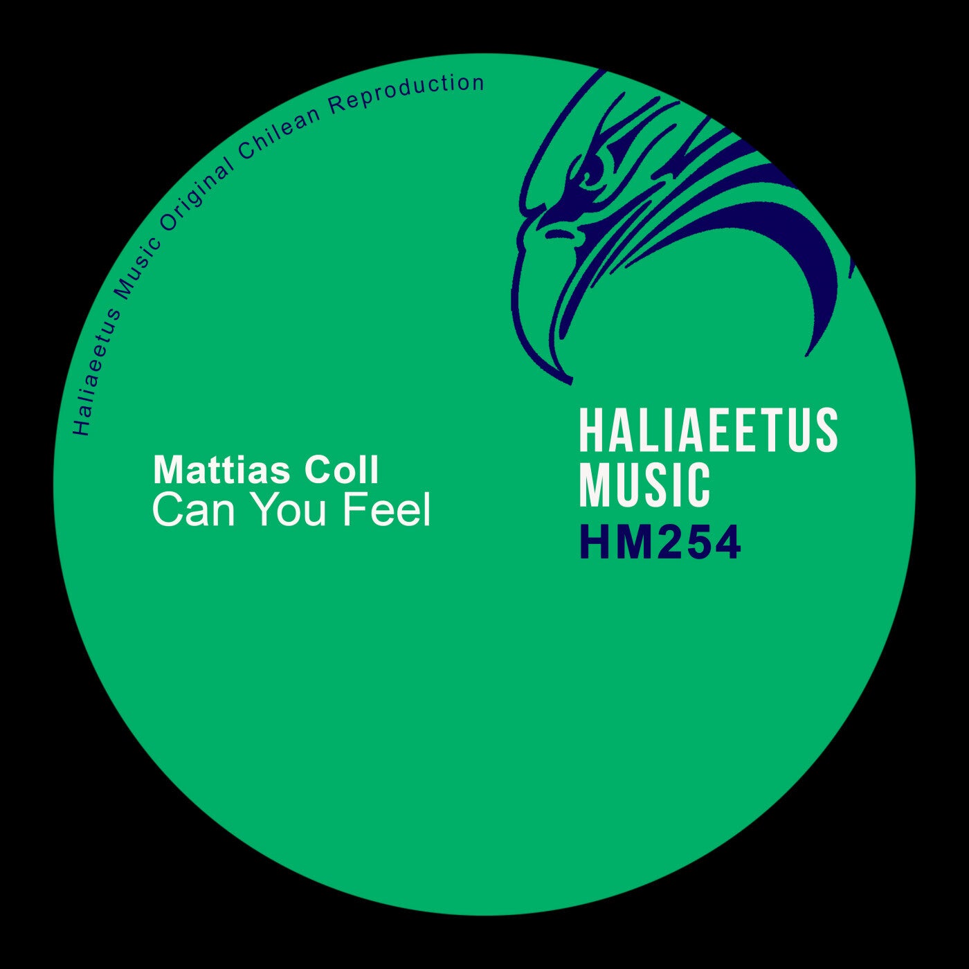 Mattias Coll - Can You Feel [HM0254]